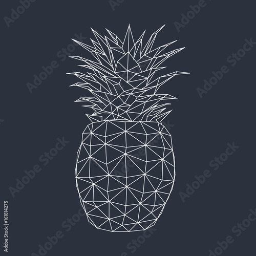 Abstract Sweet Tropical Fruit Concept