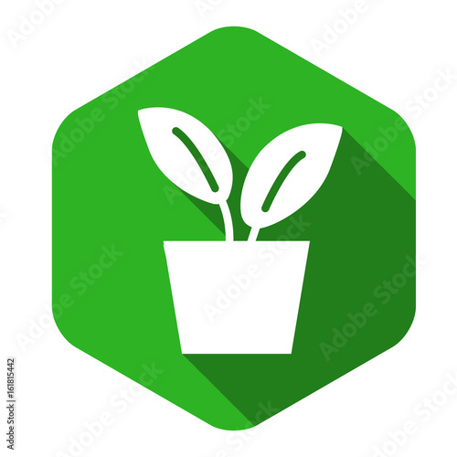 Long Shadow Blumentopf