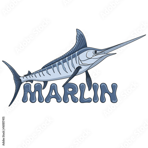 Colored illustration of a marlin fish and an inscription. Isolated vector objects on white background.