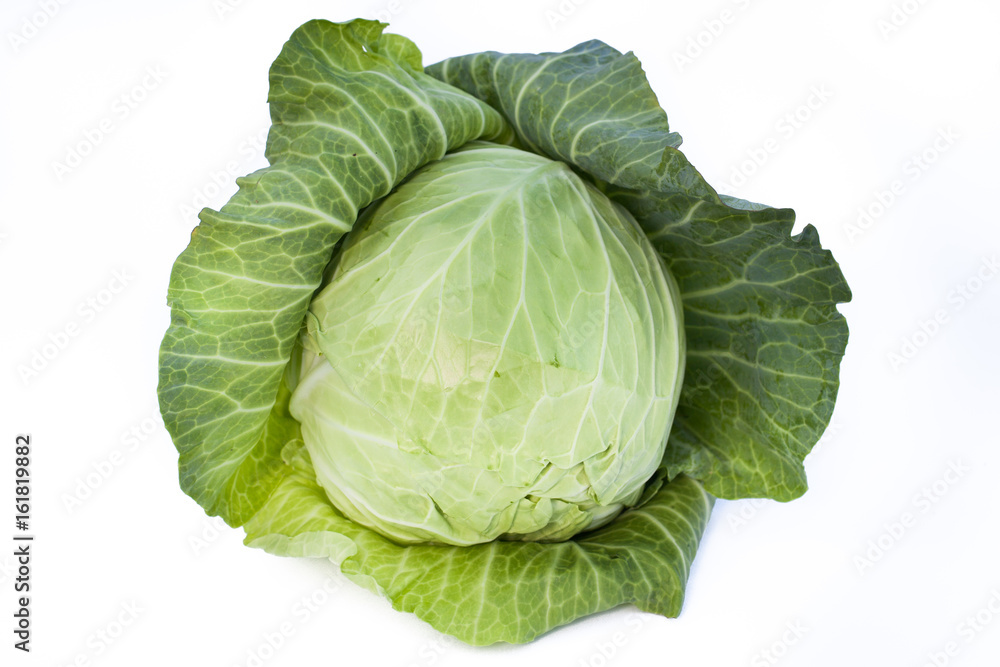 Cabbage isolated