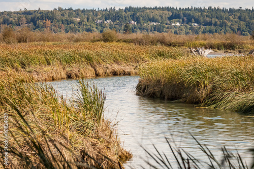 Fotografija marshy waterway and grassy banks