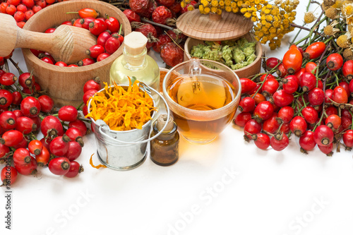 Medicinal plants and herbs composition: Berries of a viburnum, Dog rose hips; Flower petals of calendula, tansy and daisy. herbal Tea with, essential oil on white - room for text   photo