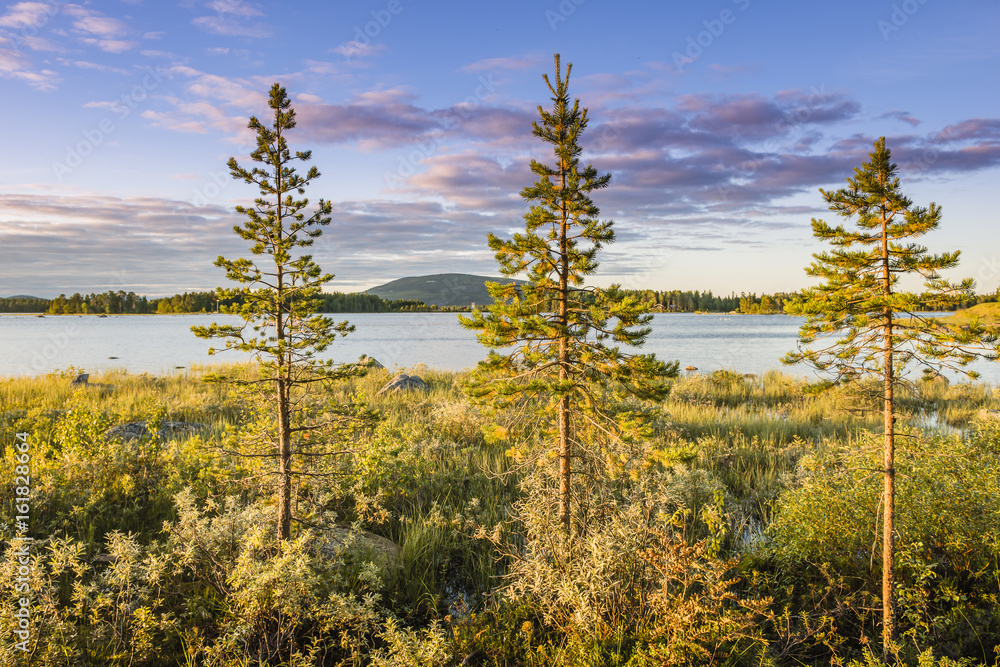 Naklejka premium Sunset on the lake in Northern Sweden.