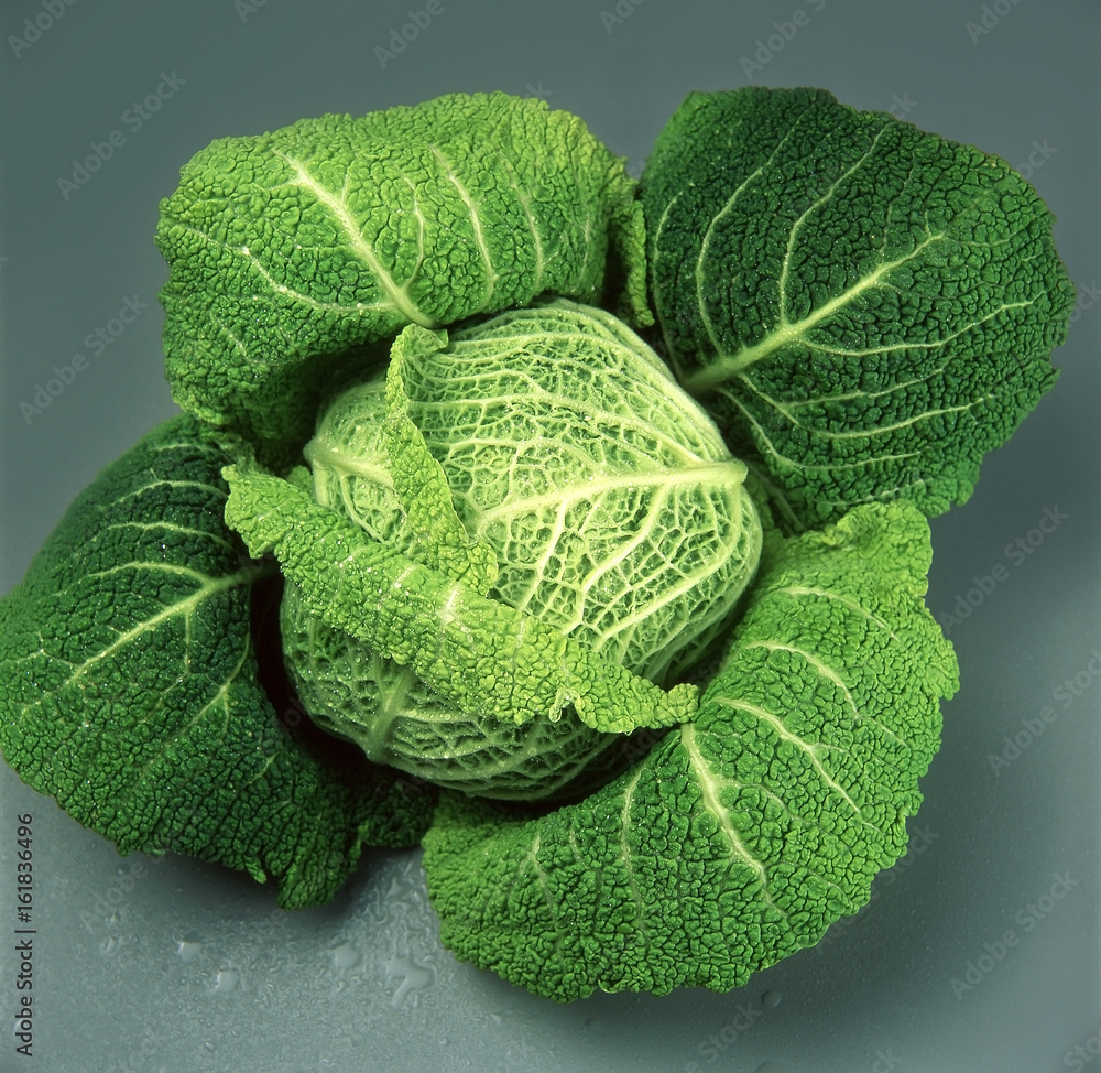 Obraz premium Fresh cabbage