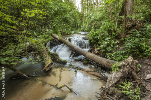 Roztocze (Roztochia) National Park. Cascades on Sopot river. Czartowe Pole (Devil's Field) reservation. photo