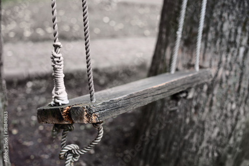 Lone wooden swing on ropes