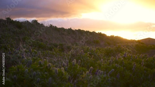 Beautiful Icelandic landscape on a sunset photo