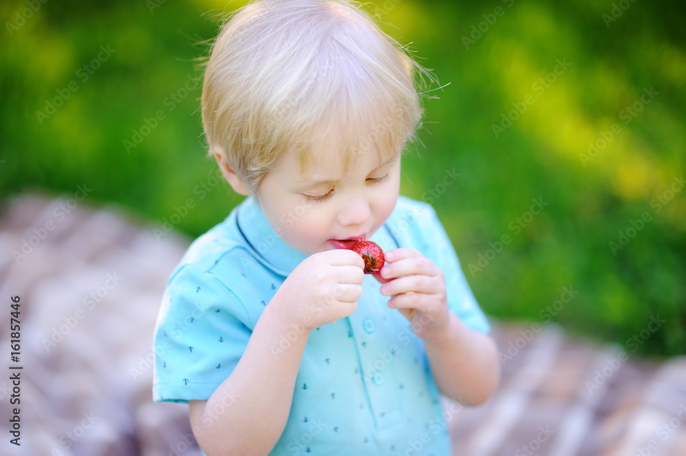 Beautiful little boy eating strawberry during picnic in summer park Beautiful little boy eating strawberry during picnic in summer park