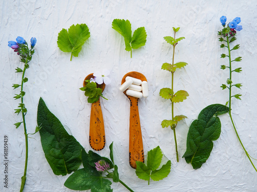 Alternative health fresh plants and herbal capsules in wooden spoon on white background, space for text, alternative medicine, vegetarianism, natural medicine photo