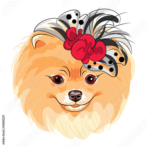 Vector fashion cute dog Pomeranian in the red and black hat