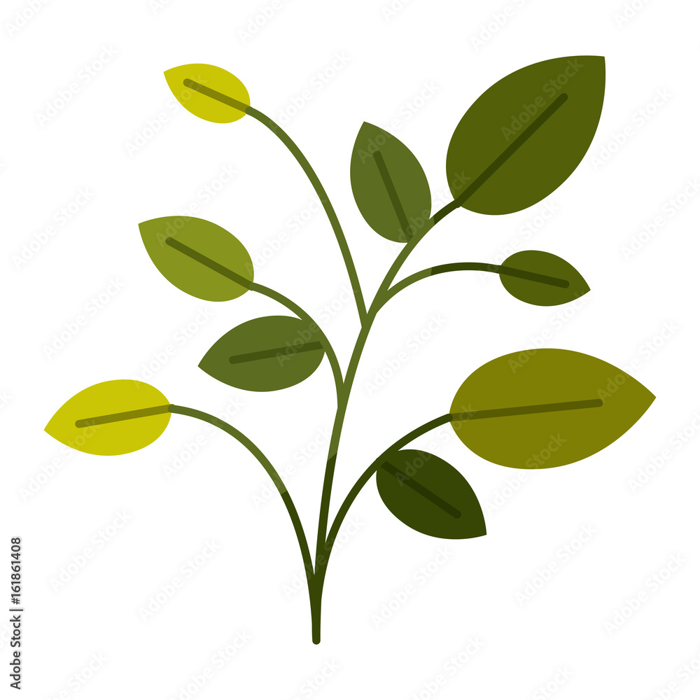 colorful silhouette of plant with branches and leaves without contour vector illustration