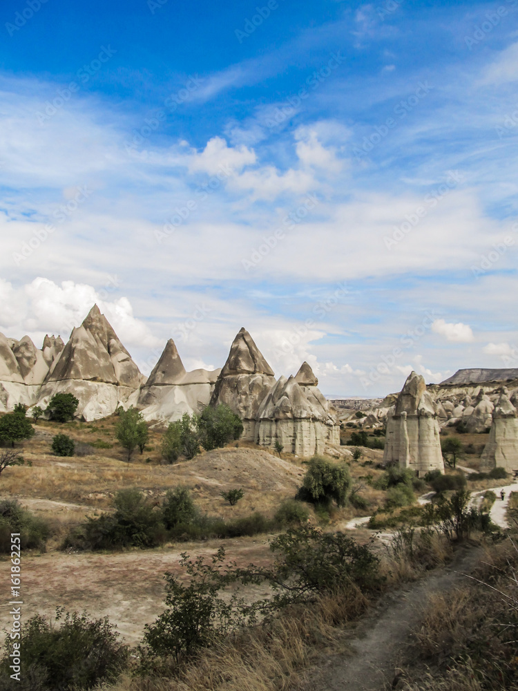 Fototapeta premium Rock formations in the Love Valley (aka Penis Valley) in Cappadocia