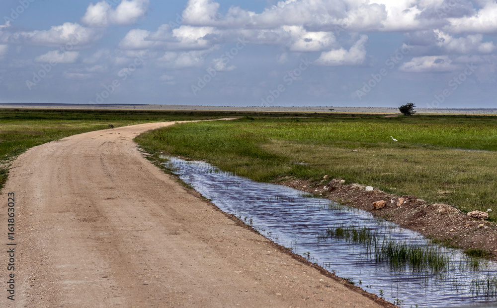 Fototapeta premium The path through the african savanna after the rain