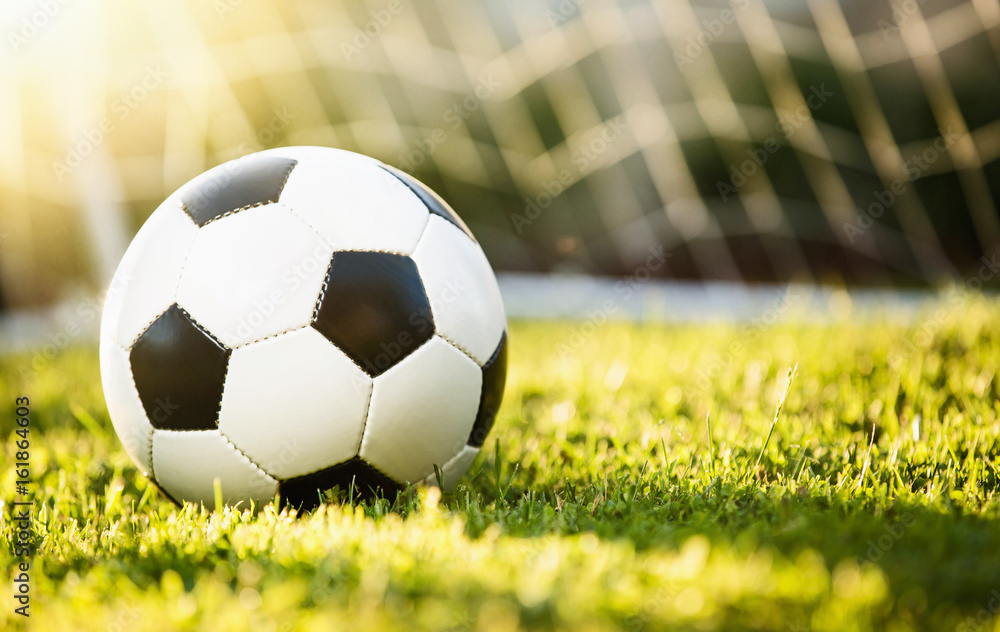 Fototapeta premium Closeup soccer ball on green grass