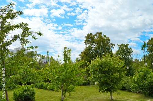 Green lawns in park  Tyumen city