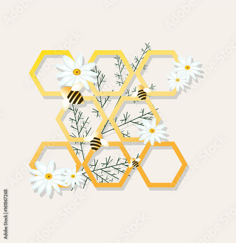 Bees and honeycombs chamomile Vector illustration