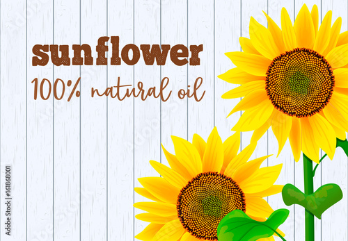 Sunflowers on white wooden background vector illustration