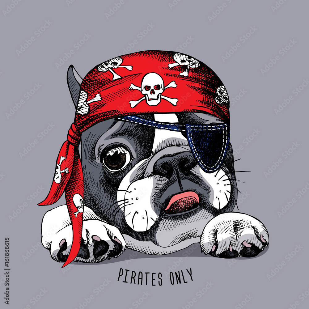 French bulldog with bandana shop