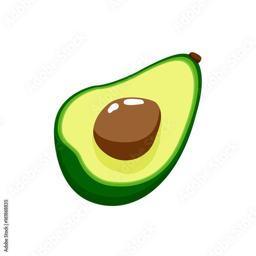 Vector illustration of avocado isolated on white background.