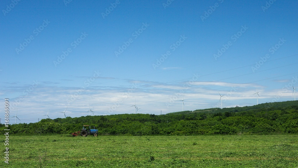 牧草地で作業するトラクター
