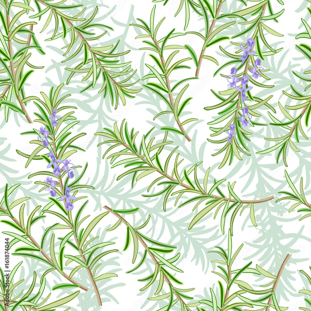 Rosemary or Rosmarinus officinalis. Leaves and flowers. Seamless pattern. Vector illustration.
