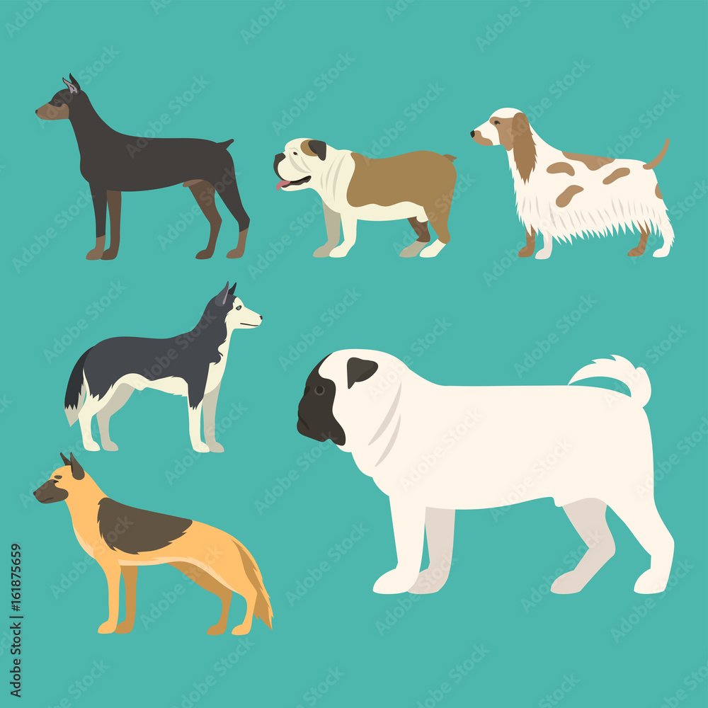 Funny cartoon dog character bread in flat style puppy pet animal doggy vector illustration.