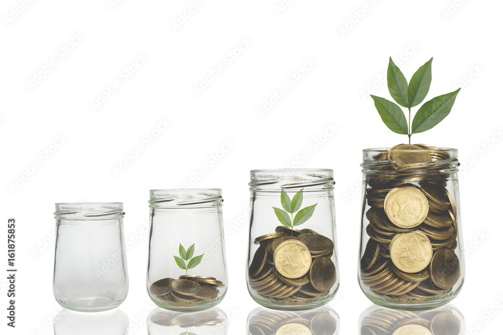 Coins and plant in bottle, Business investment growth and saving concept. Coins in bottle on white background, Business investment growth concept Coins and plant in bottle, Business investment growth and saving concept. Coins in bottle on white background, Business investment growth concept
