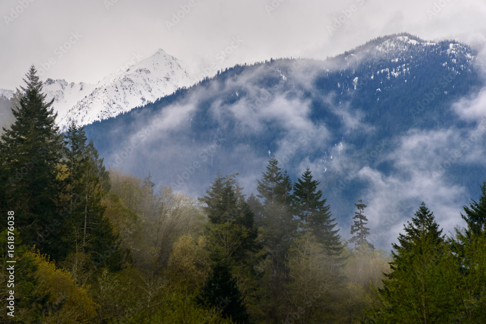 Obraz premium Madison Falls at Olympic National Park