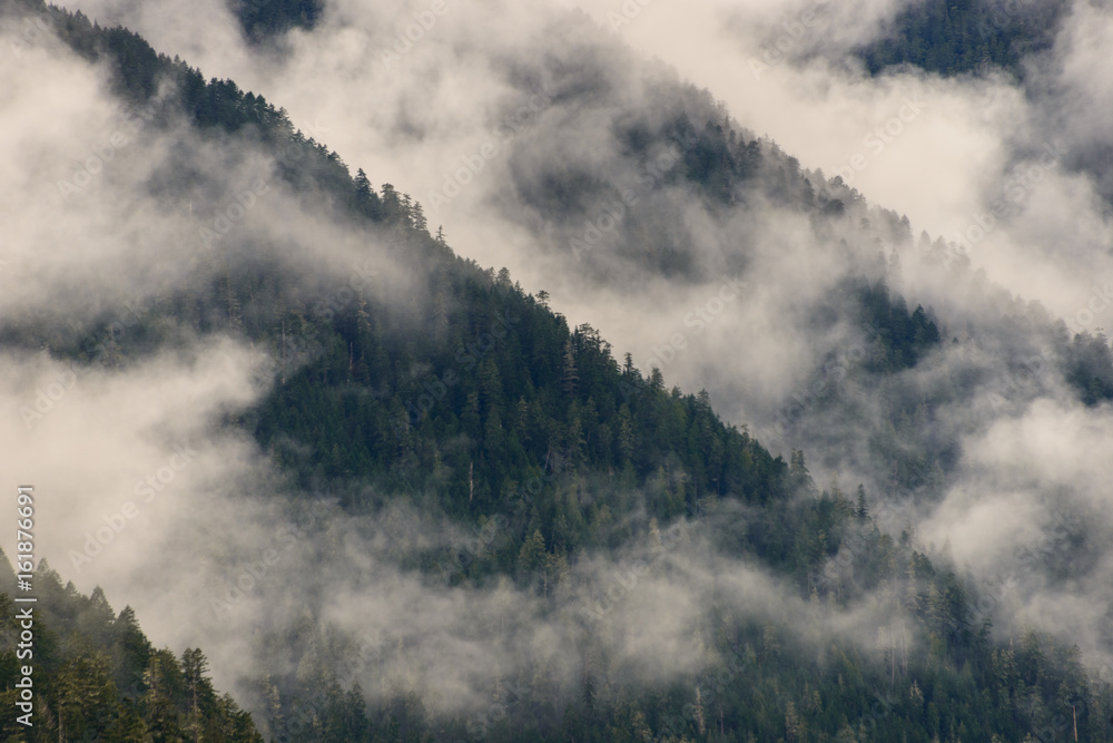 Misty Morning at Lake Crescent at Olympic National Park Misty Morning at Lake Crescent at Olympic National Park