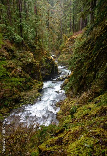 Sol Duc Falls trail in Olympic National Park