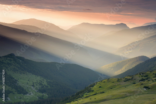 Summer sunrise landscape in the Carpathians Mountains, on Transalpina mountain road, Romania. Pink rhododendron flowers on summer mountain. Selective focus