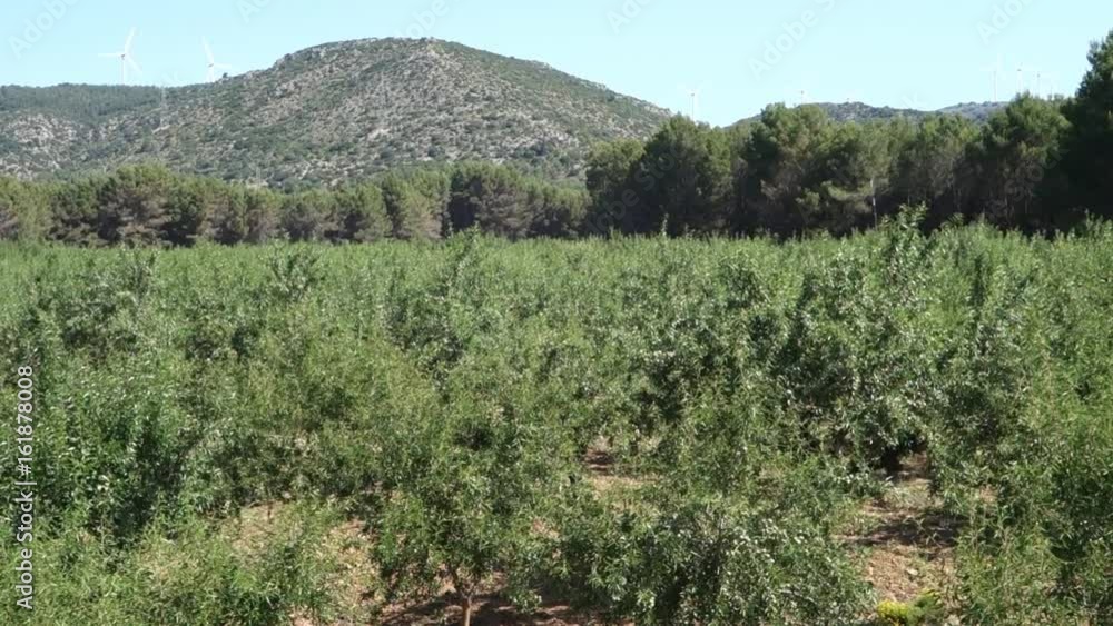 What's Near Caudiel en Castellon What's Near Caudiel en Castellon