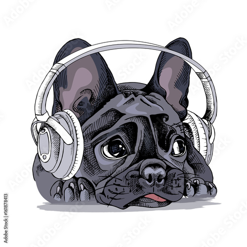 French bulldog Portrait with a headphones. Vector illustration.