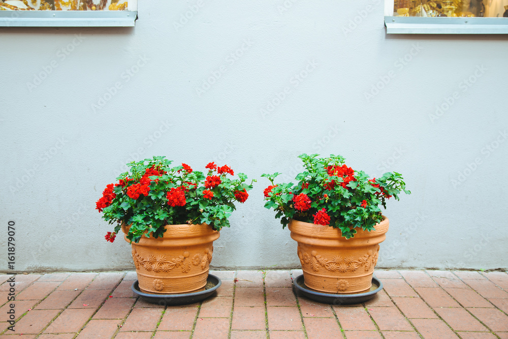 Two flowerpots with red flowers decorate the front of the house