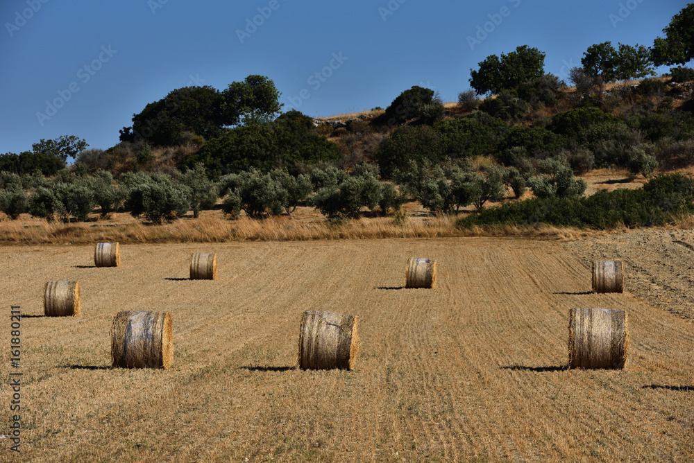 Straw bales on farmland with blue sky