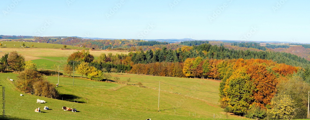 bunte Eifellandschaft in der Nähe von Bad Bertrich Panorama im Herbst
