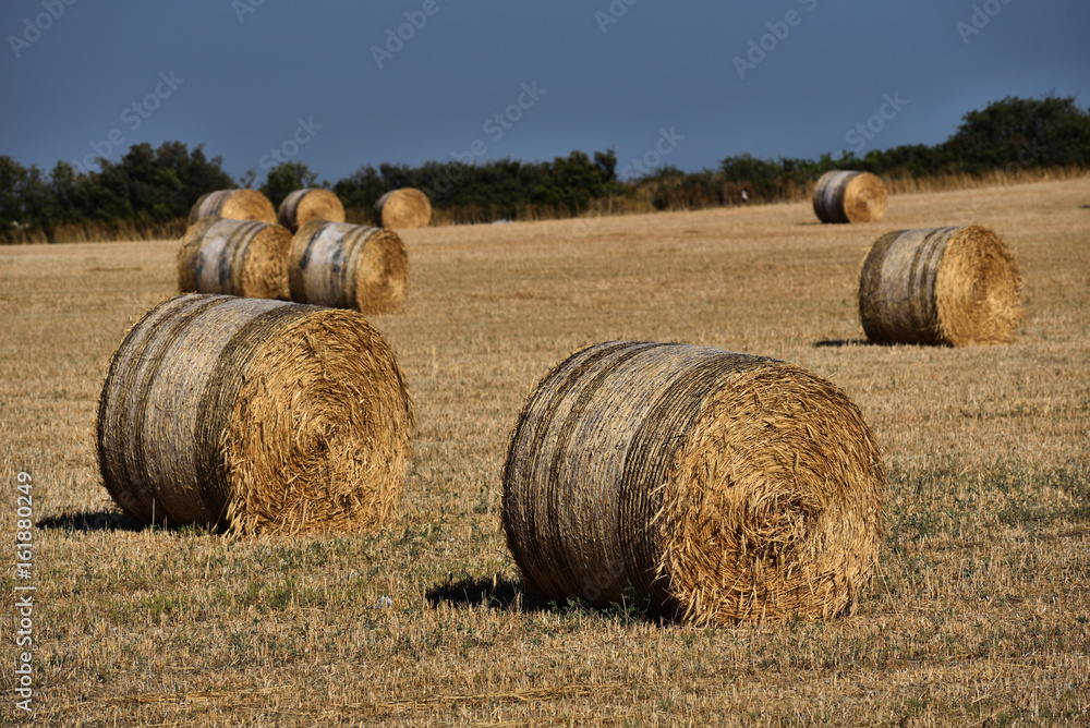 Straw bales on farmland with blue sky