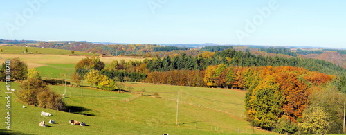 bunte Eifellandschaft in der Nähe von Bad Bertrich Panorama im Herbst 