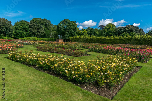 Piper Alpha Memorial rose garden. photo