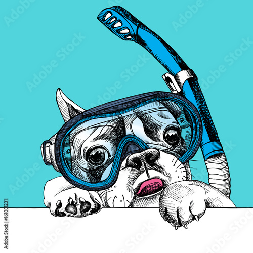 Portrait of a French Bulldog in diving mask with tube on blue background. Vector illustration.