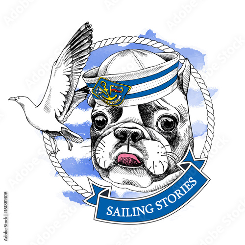 French bulldog portrait in a sailor's cap and with seagull on blue striped background. Vector illustration.