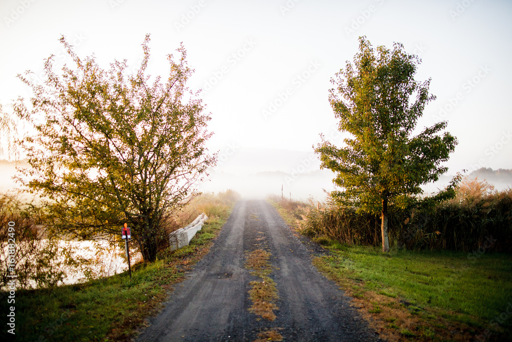 Obraz premium Road fog