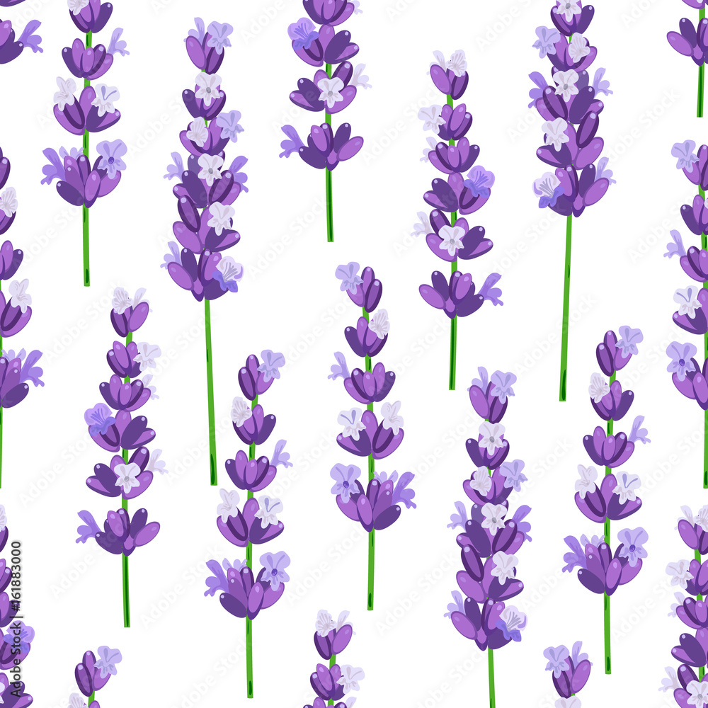 Obraz premium Seamless pattern of provence violet lavender flowers on a white background. Vector illustration.