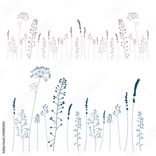 Meadow grasses, herbs and flowers silhouettes.