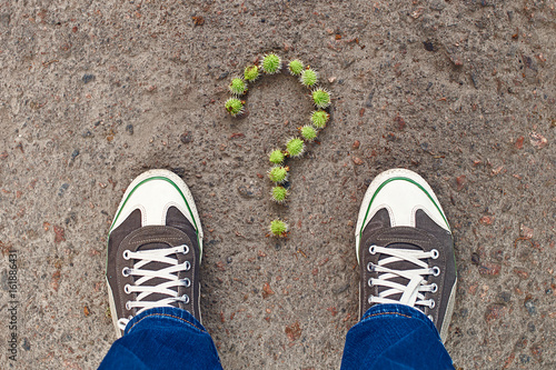 Question sign composed from tiny green chestnuts © berezko