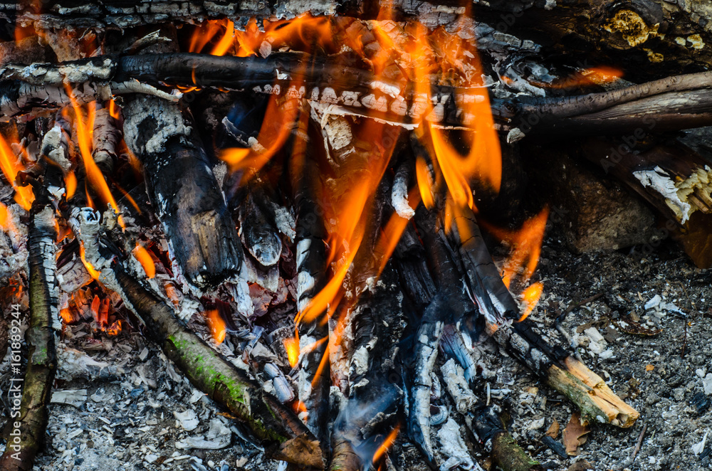 Close-up photo of the camp fire Close-up photo of the camp fire