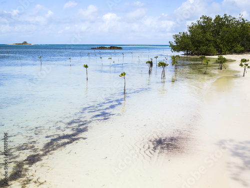 Photography Paradise beach in Cayo Santa Maria, Cuba