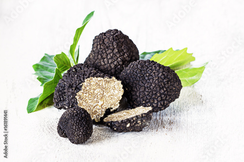 Black truffles on white background. Copy space.