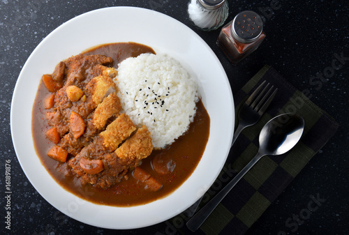 Rice with deep fried pork and curry . photo