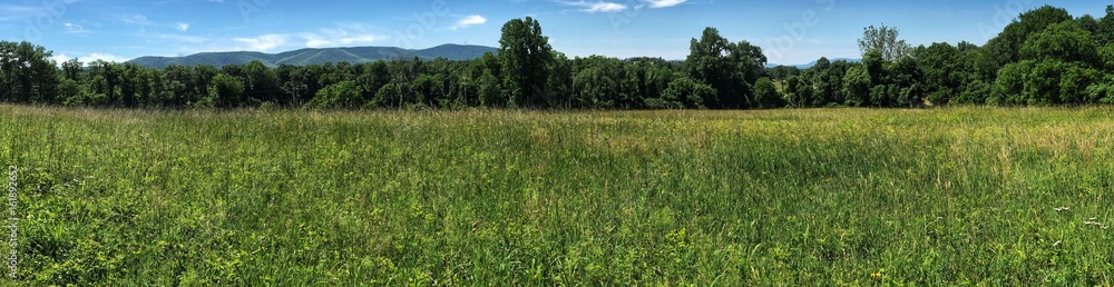 wide meadow panorama with distant mountains